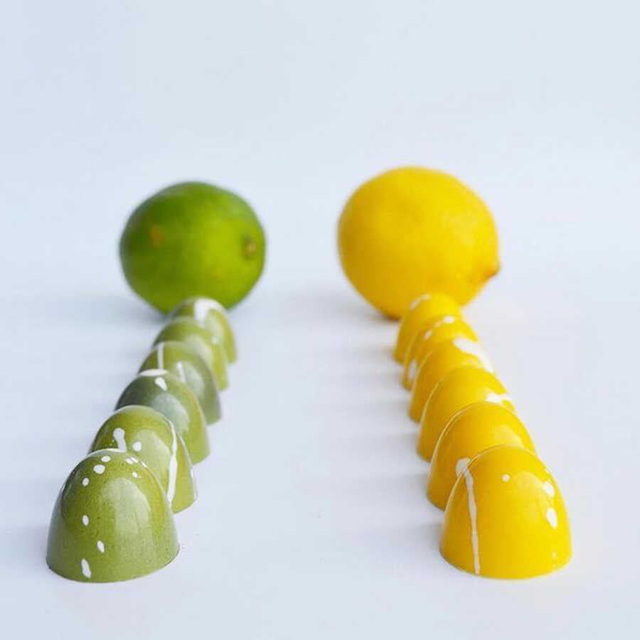 Dome Praline Chocolate Mould No: 487