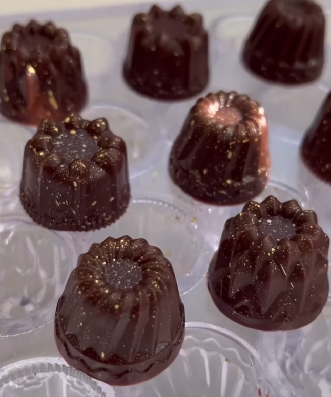 Assorted Cake Praline Chocolate Mould No: 929