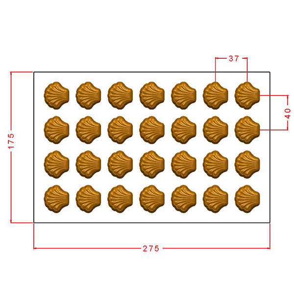 Sea Shell Praline Chocolate Mould No: 972