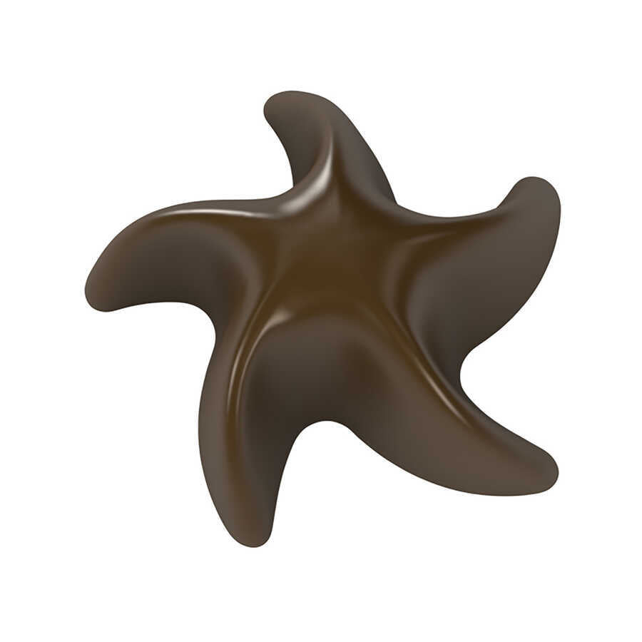 Sea Star Chocolate Mould No: 249