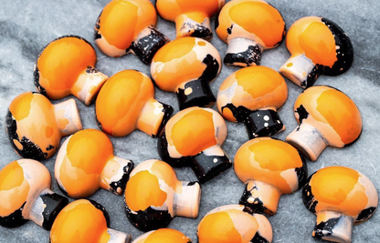 Mushroom Praline Chocolate Mould No: 437