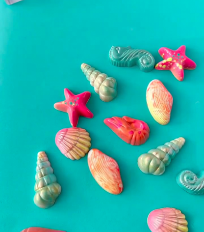 Assorted Shell Chocolate Mould No: 481