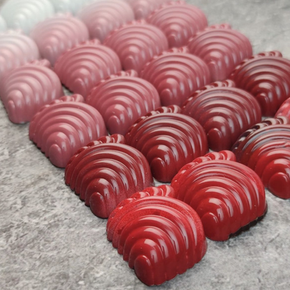Fantasy Praline Chocolate Mould No: 811